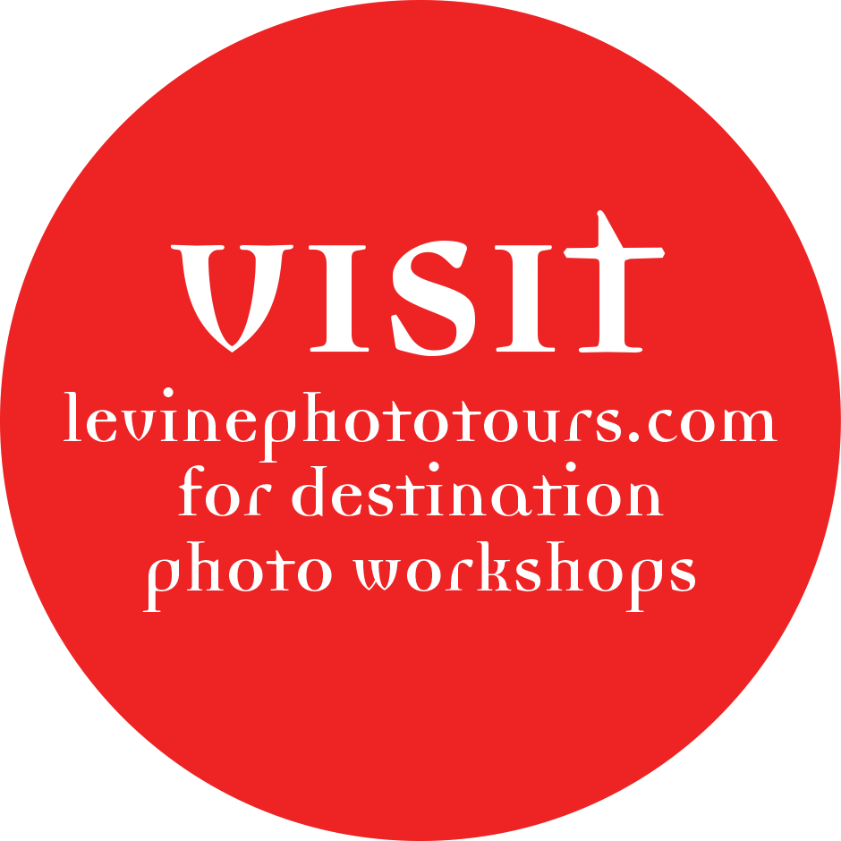 Visit levinephototours.com